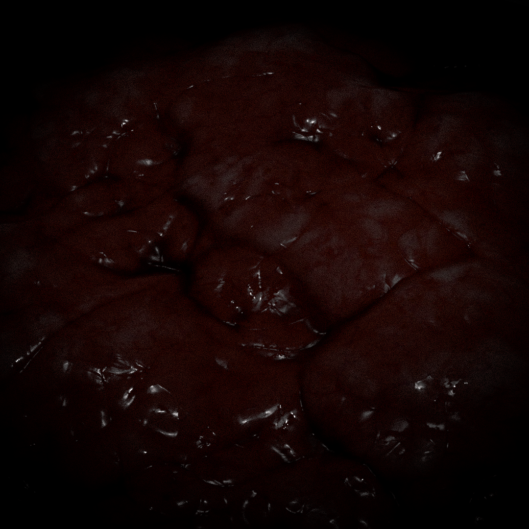 Carcass Pitcher Image